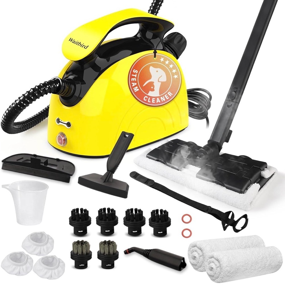 Waitbird Steam Cleaner with accessories